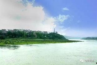 武胜新闻最新爆料,最新爆料事件深度解析