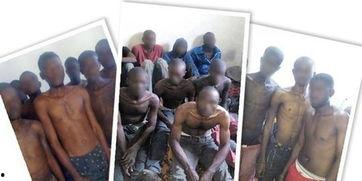 私人奴隶在线观看,私人奴隶在线观看现象深度剖析